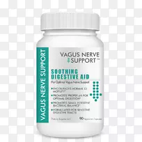 迷走神经乙酰胆碱副交感神经系统心脏-空若网 迷走神经乙酰胆碱副交感神经系统心脏-空若网