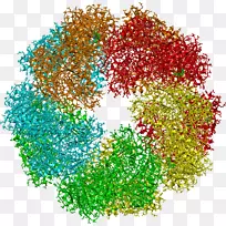 ��������ˮ����-������