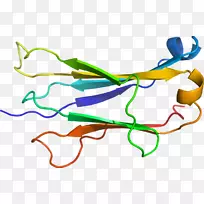 �ߵ������������-������