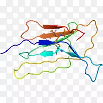 线点生物剪贴画线-空若网 线点生物剪贴画线-空若网