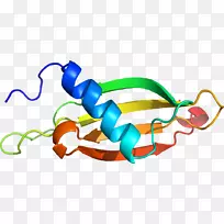 ����ͼ��������ּ���������-������