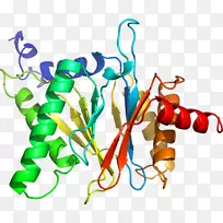 生物线动物剪贴画线-空若网 生物线动物剪贴画线-空若网