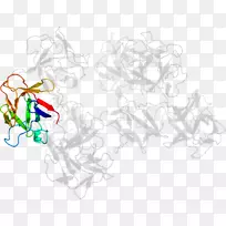 平面设计线艺术剪贴画设计-空若网 平面设计线艺术剪贴画设计-空若网
