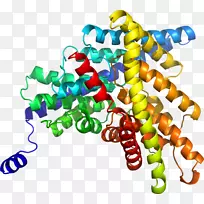 �����鱦ϵ�м�����.�鱦-������