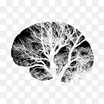 人脑神经元神经系统脑损伤-空若网 人脑神经元神经系统脑损伤-空若网