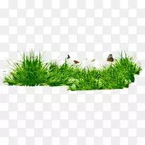 ²Ý¼ÐÒÕÊõºûµû¹àľ´Ô-¿ÕÈôÍø ²Ý¼ÐÒÕÊõºûµû¹àľ´Ô-¿ÕÈôÍø