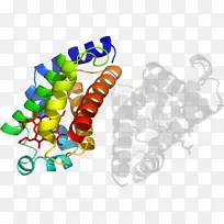 ʳƷ���μ�����.�鱦-������