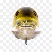 爬行动物01504鱼-小亨利利文斯顿-空若网 爬行动物01504鱼-小亨利利文斯顿-空若网