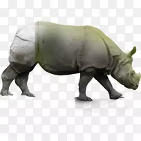 犀牛陆生动物鼻子野生动物犀牛-空若网 犀牛陆生动物鼻子野生动物犀牛-空若网