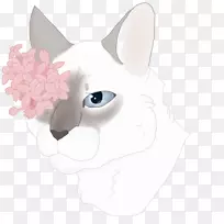 胡须猫狗鼻子犬科猫-空若网 胡须猫狗鼻子犬科猫-空若网