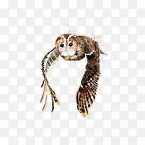 ˮ�ʻ�.�ֻ濨ͨèͷӥ���в���-������