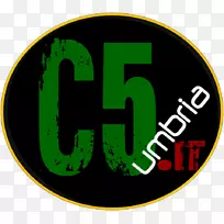 �̱�����-����-������