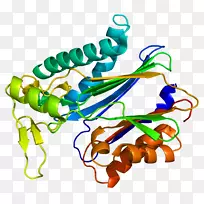 人体珠宝有机体线夹艺术.分支链氨基酸-空若网 人体珠宝有机体线夹艺术.分支链氨基酸-空若网