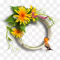 画框花卉设计绘图中心博客-字体21-空若网 画框花卉设计绘图中心博客-字体21-空若网