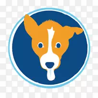 犬科犬鼻子夹艺术-空若网 犬科犬鼻子夹艺术-空若网