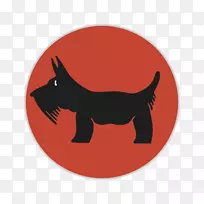 胡须狗猫鼻子狗-空若网 胡须狗猫鼻子狗-空若网