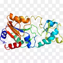 平面设计有机体剪贴画设计-空若网 平面设计有机体剪贴画设计-空若网