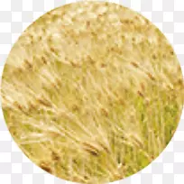 早餐谷类食品-新奇物品-空若网 早餐谷类食品-新奇物品-空若网