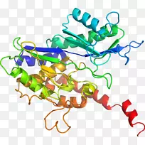 人体珠宝有机体线条剪贴画.珠宝-空若网 人体珠宝有机体线条剪贴画.珠宝-空若网
