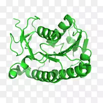 数据库数据集x射线结晶学-空若网 数据库数据集x射线结晶学-空若网