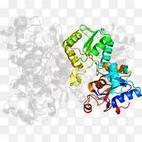 Ê÷Ïß¼ôÌù»-Ê÷-¿ÕÈôÍø Ê÷Ïß¼ôÌù»-Ê÷-¿ÕÈôÍø