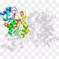 食品剪贴画-树-空若网 食品剪贴画-树-空若网