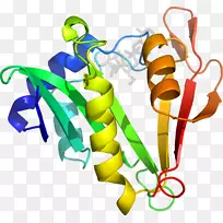 平面设计线夹艺术设计-空若网 平面设计线夹艺术设计-空若网