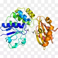 人体珠宝有机体线条剪贴画.珠宝-空若网 人体珠宝有机体线条剪贴画.珠宝-空若网