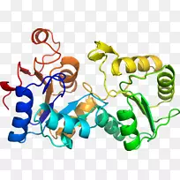 无脊椎动物动画剪贴画线-空若网 无脊椎动物动画剪贴画线-空若网