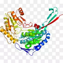 人体珠宝有机体线条剪贴画.珠宝-空若网 人体珠宝有机体线条剪贴画.珠宝-空若网