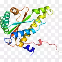 �ߵ������������-������