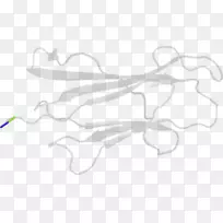 白线艺术手指夹艺术-空若网 白线艺术手指夹艺术-空若网