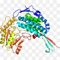 艺术身体珠宝有机体剪贴艺术珠宝首饰-空若网 艺术身体珠宝有机体剪贴艺术珠宝首饰-空若网