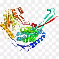 艺术身体珠宝有机体剪贴艺术珠宝首饰-空若网 艺术身体珠宝有机体剪贴艺术珠宝首饰-空若网