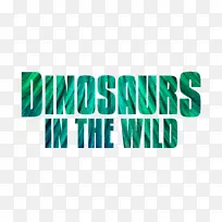 ��Ӱ�����ӱ�־-����Ұ��-������