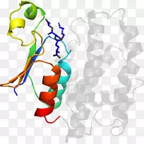 平面设计有机体剪贴画设计-空若网 平面设计有机体剪贴画设计-空若网