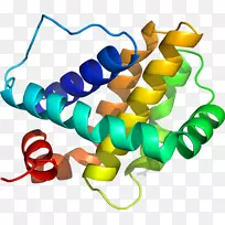 服装配饰线时尚剪贴画线-空若网 服装配饰线时尚剪贴画线-空若网