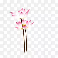 图-莲花-空若网 图-莲花-空若网