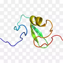 �ߵ������������-������