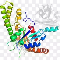 人体珠宝有机体线条剪贴画.珠宝-空若网 人体珠宝有机体线条剪贴画.珠宝-空若网
