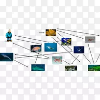 线点技术.线-空若网 线点技术.线-空若网