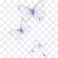 ºûµû¼ôÌù»-ºûµû·ÉÎ裬ºûµûÃÎ-¿ÕÈôÍø ºûµû¼ôÌù»-ºûµû·ÉÎ裬ºûµûÃÎ-¿ÕÈôÍø