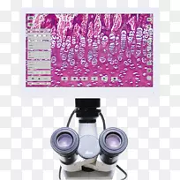 数码显微镜1080 p照相机cmos显微镜-空若网 数码显微镜1080 p照相机cmos显微镜-空若网