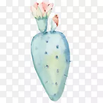 水彩画.水彩仙人掌-空若网 水彩画.水彩仙人掌-空若网