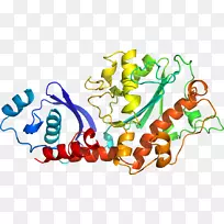 蔬菜有机体剪贴画-蔬菜-空若网 蔬菜有机体剪贴画-蔬菜-空若网