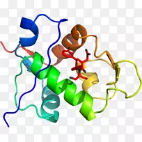 �ߵ������-��-������