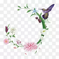 ����-��ɫ�����������-������