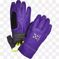 ���г�����Cerro Torre Reusch�����ʱ�-����˹��-������