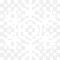 对称线黑白点图案-雪花PNG图像-空若网 对称线黑白点图案-雪花PNG图像-空若网