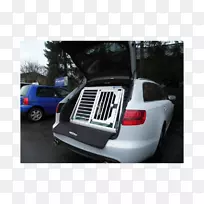 �������ոܳ������������-������